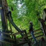 Küssnacht: Ropes Park Rigi Climbing Adventure with Entry Ticket - The Courses and Their Challenges
