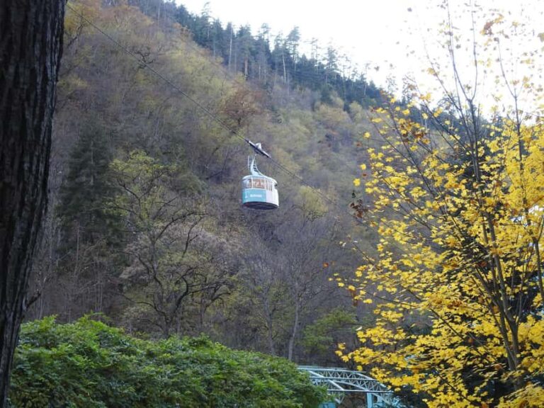Kutaisi: Bakuriani Ski Resort & Borjomi Park Day Trip - The Experience in Practice
