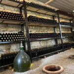 Kutaisi: Wine Tasting in Family Winery shop - Value and Practical Details