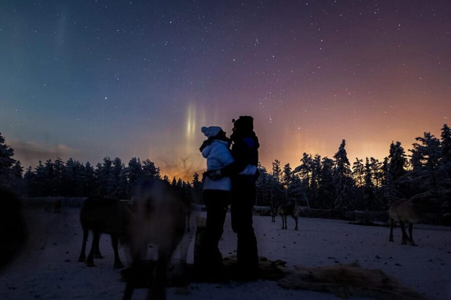 Kuusamo: Reindeer Farm Visit - The Experience in Detail