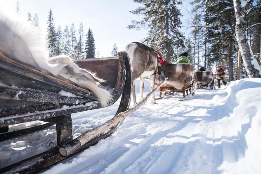 Kuusamo: Reindeer Sleigh Ride in Kujalan Porotila - The Experience Itself: What You Can Expect