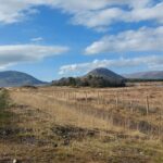 Kylemore Abbey, Connemara and Sky Road Private Tour from Galway - Final Thoughts