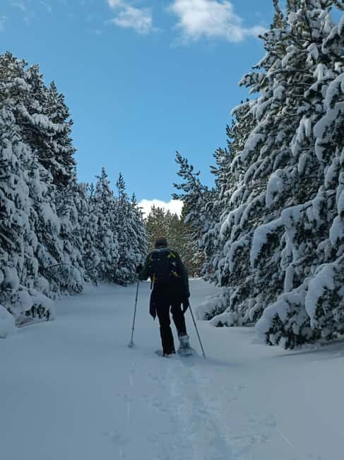 La Cerdanya: Snowshoe hike to the peaks of the Pyrenees - Practical Details and What to Expect