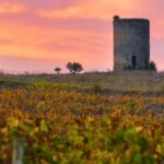 La Closerie de Fronsac: Classic Wine Tasting Tour - Who Will Enjoy This Tour?