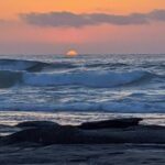 LA Day Trips to Casinos, Palm Springs, San Diego, Santa Barbara - Who Would Love This Tour?