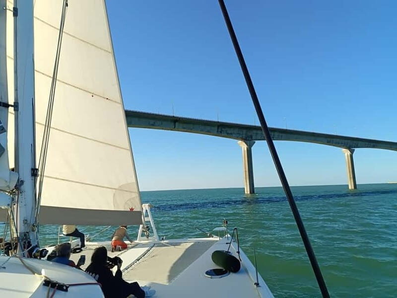 La Flotte en Ré - 5H30 Sailing Catamaran Long Cruise - The Realities Based on Reviews