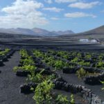 La Geria: a walk among volcanoes and vineyards - The Climb to Guardilama
