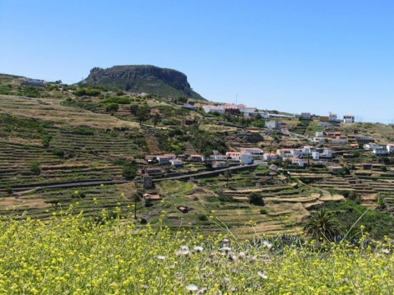 La Gomera: Guided Hiking Tours from Valle Gran Rey - The Highlights of the Trekking Experience