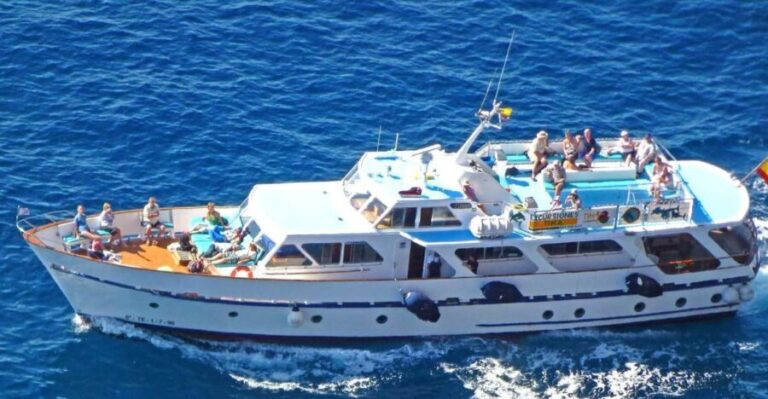 La Gomera: Whale Watching Tour on an Vintage Boat - The Practical Side: Booking and Logistics