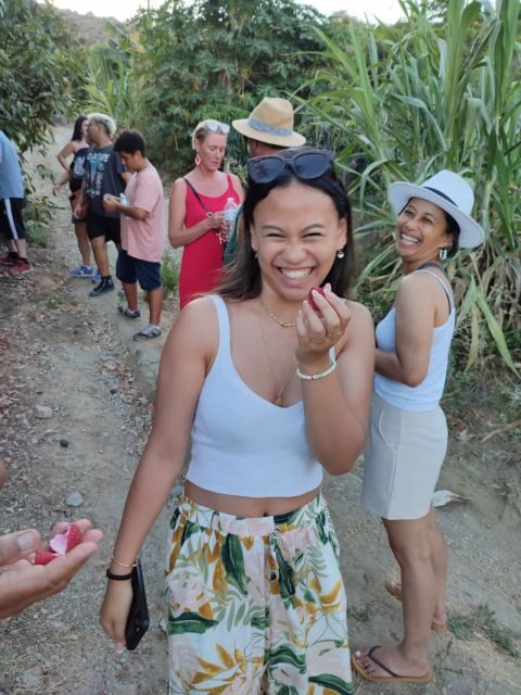 La Herradura Coffee Farm: tour in Europe's only plantation - The Itinerary and Practical Details