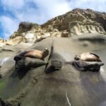 La Jolla Sea Caves Kayak Tour For Two (Tandem Kayak) - The Itinerary Breakdown