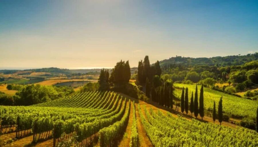 La Madama: A Journey through Piedmont's Tradition and Wines - FAQs