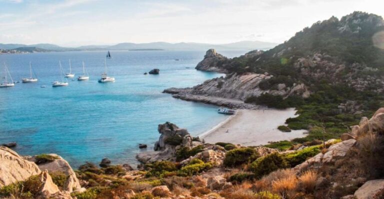 La Maddalena: afternoon snorkeling tour from Porto Pollo - The Highlights: Beaches, Natural Pools, and Snorkeling