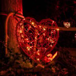 La Magia Nocturna de Sant Pau: Tour Fotográfico - The Experience in Detail