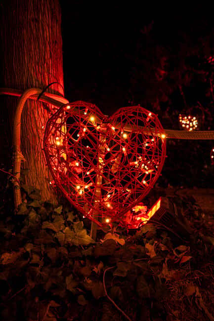 La Magia Nocturna de Sant Pau: Tour Fotográfico - The Experience in Detail