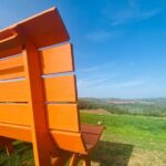 La Maliosa Farm Experience & Wine Tasting - Final Thoughts: Who Should Consider This Tour?