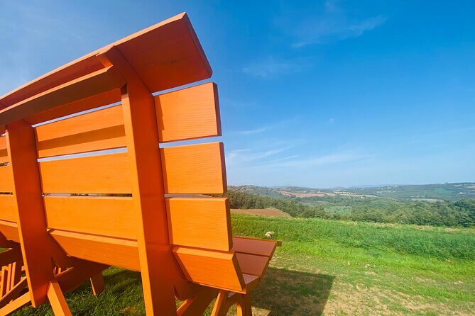 La Maliosa Farm Experience & Wine Tasting - Final Thoughts: Who Should Consider This Tour?