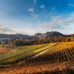 La Morra: A Journey through Barolo's Finest Vintages - The Tasting Experience