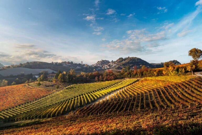 La Morra: A Journey through Barolo's Finest Vintages - The Tasting Experience