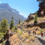 La Palma: Caldera de Taburiente National Park Guided Hike - How the Tour Feels in Practice
