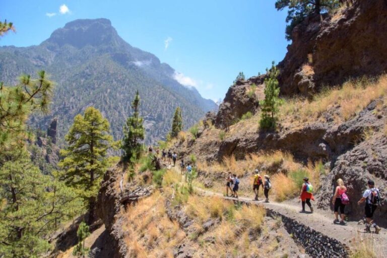 La Palma: Caldera de Taburiente National Park Guided Hike - How the Tour Feels in Practice