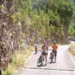 La Palma: Guided e-bike tour (trekking) - What Makes This E-Bike Tour a Good Choice?