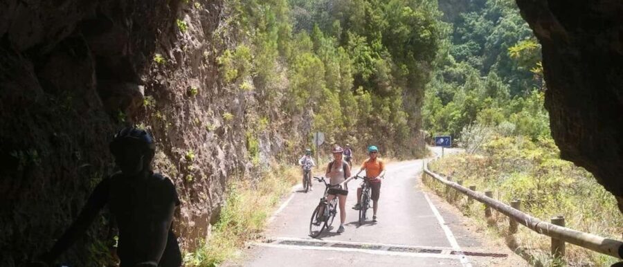 La Palma: Guided e-bike tour (trekking) - What Makes This E-Bike Tour a Good Choice?