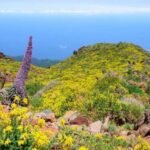 La Palma: Guided Trekking Tour to El Roque de los Muchachos - Who Should Consider This Tour?