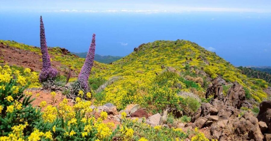 La Palma: Guided Trekking Tour to El Roque de los Muchachos - Who Should Consider This Tour?