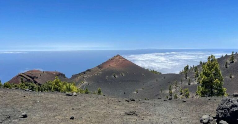La Palma: Guided trekking tour to volcanoes south - Who Is This Tour Best Suited For?