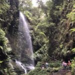 La Palma: North Island Bus Tour with Ron Aldea Distillery - The Practicalities: What’s Included and What to Expect