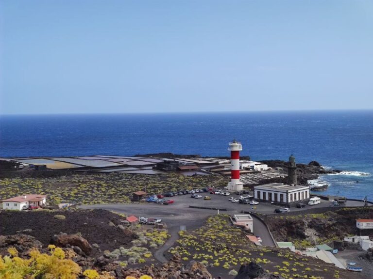 La Palma: San Antonio and Teneguia Volcanos Tour by 4x4 Bus - Why the Tour Works Well