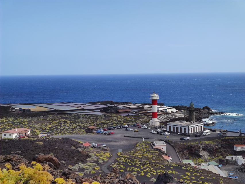 La Palma: San Antonio and Teneguia Volcanos Tour by 4x4 Bus - Why the Tour Works Well