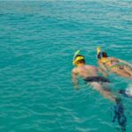 La Palma : Snorkeling Tour in Los Cancajos - Who Will Love This Tour?