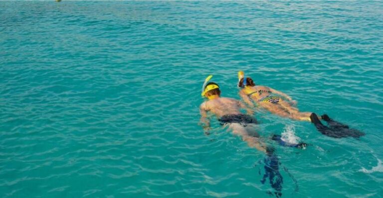 La Palma : Snorkeling Tour in Los Cancajos - Who Will Love This Tour?