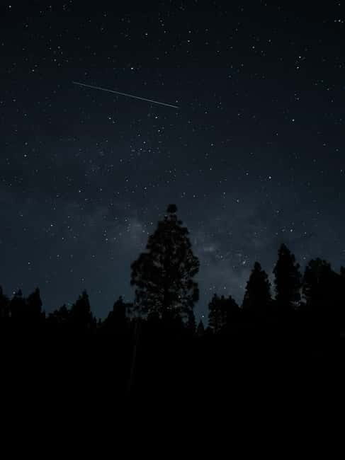 La Palma: Stargazing in the best sky in the world - What To Expect: A Step-by-Step Breakdown