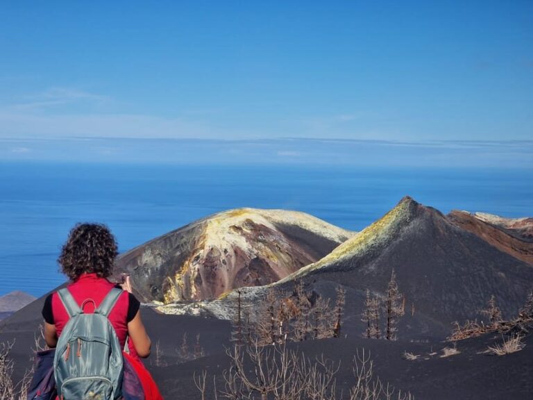 La Palma: Tajogaite Volcano Guided Trek - The Value of This Tour