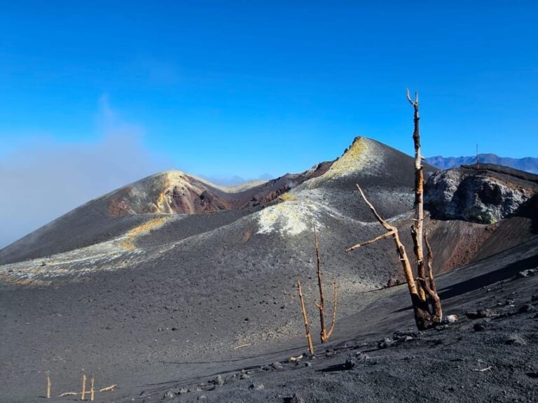 La Palma: Tour to the new Tajogaite volcano 360º. - Authentic Feedback from Previous Travelers