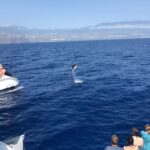 La Palma: Wildlife Viewing and Cumbre Vieja Boat Tour - The Experience and Atmosphere