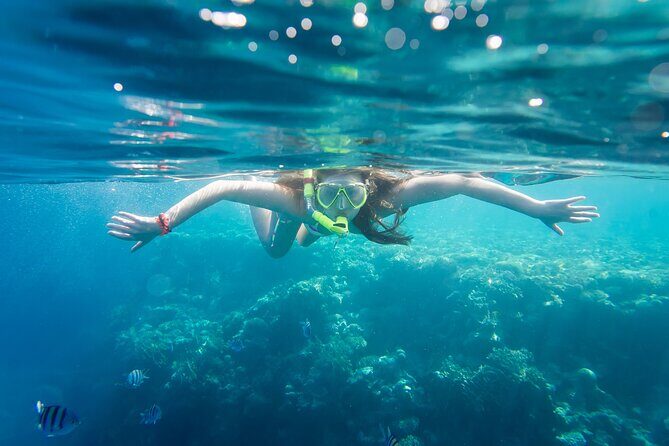 La Paz: Coral Farm Snorkel Tour - FAQs