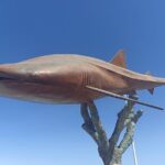 La Paz Private Treasure Hunt - Who Is This Treasure Hunt Best For?