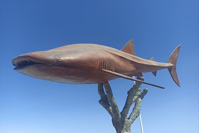 La Paz Private Treasure Hunt - Who Is This Treasure Hunt Best For?