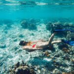 La Paz World class Snorkeling in Balandras Hidden Beaches - The Itinerary in Depth