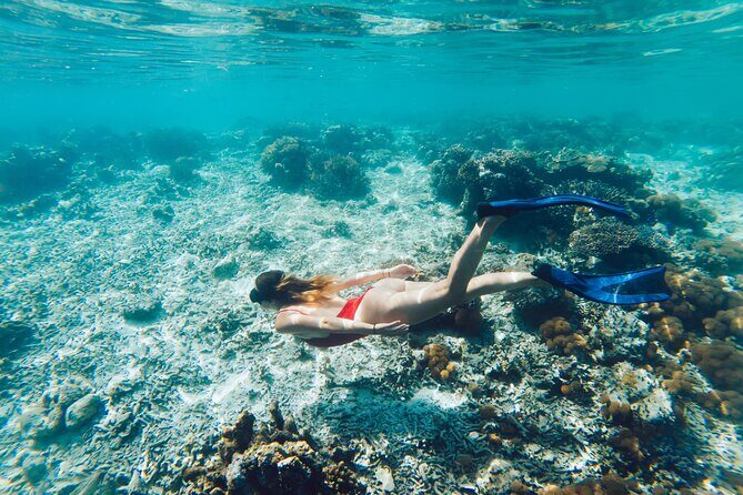 La Paz World class Snorkeling in Balandras Hidden Beaches - The Itinerary in Depth