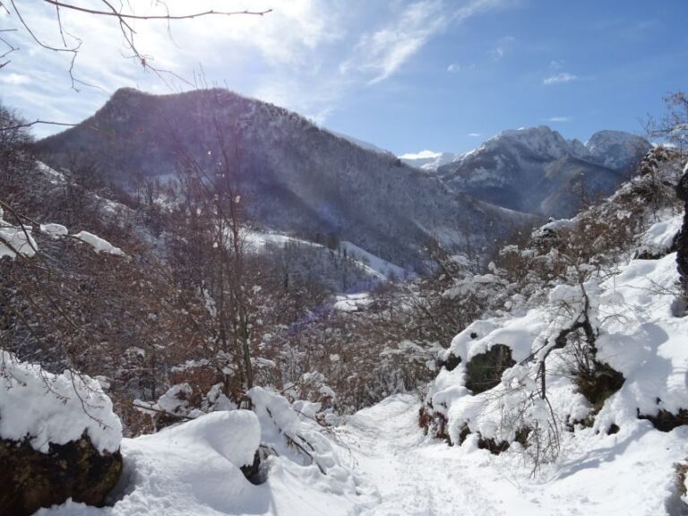 La Raya: Fuentes de Invierno Snowshoe Walk - Who Would Love This Tour?