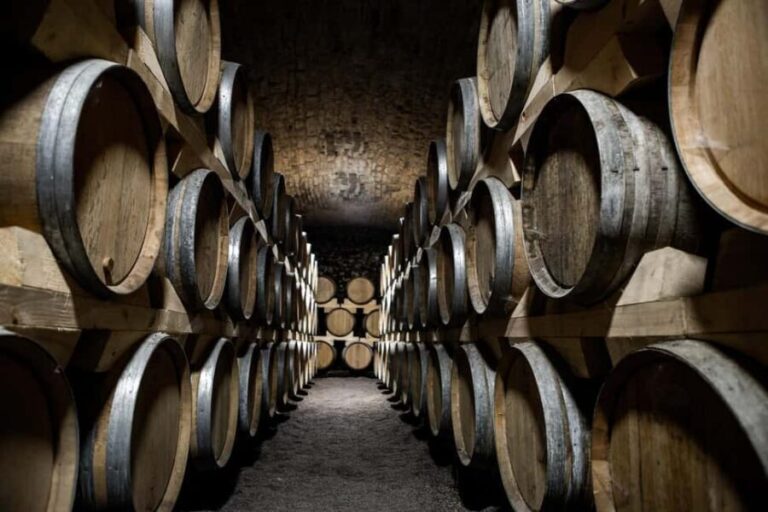 La Roche Vineuse: Visit the Vine and Wine Museum - Who Will Like This Tour?