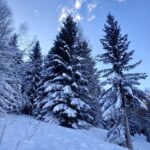 La Rosière: Sunrise snowshoe hike - Who Is This Tour Ideal For?