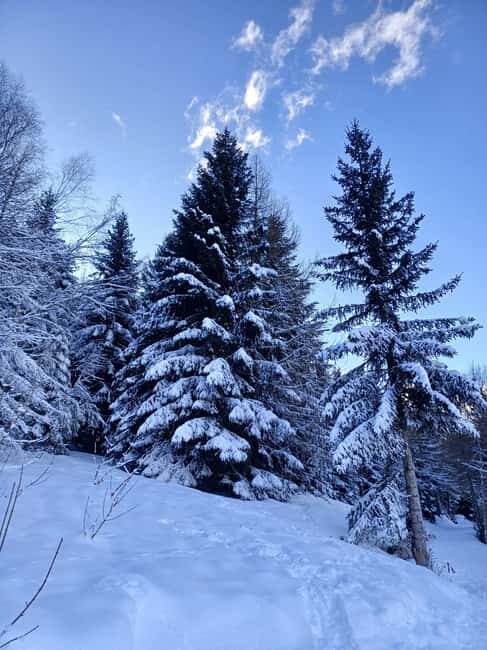 La Rosière: Sunrise snowshoe hike - Who Is This Tour Ideal For?