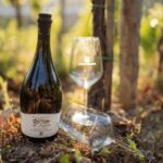 La Spezia: 4 Wines Degustation - What You Can Expect During the Tour