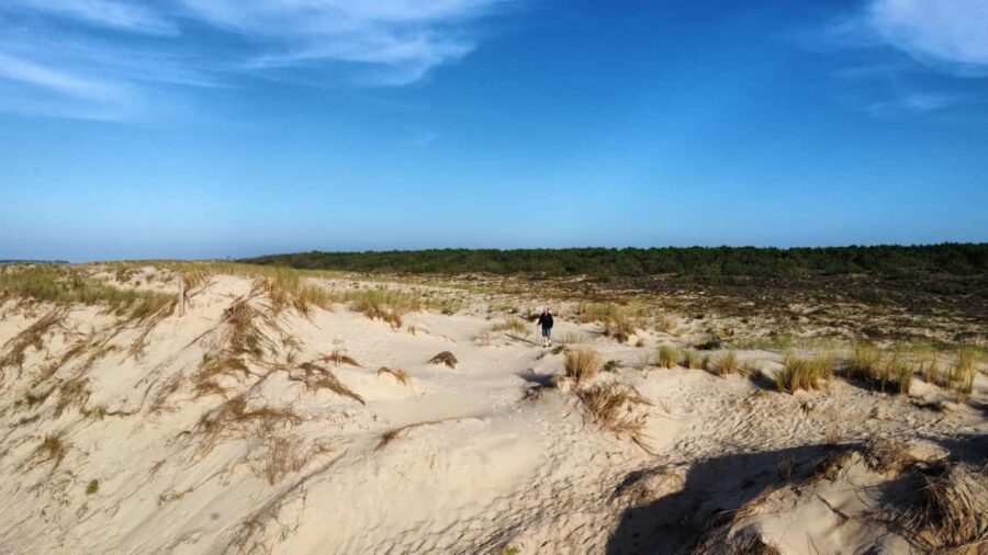 La Tremblade: Hiking in the Forêt Domaniale de la Coubre - The Regional Tasting